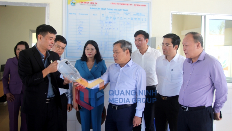 Đồng chí Vũ Đại Thắng, Ủy viên Trung ương Đảng, Bí thư Tỉnh ủy, thăm mô hình sản xuất tôm giống của Công ty TNHH Việt Úc - Quảng Ninh (11-2024). Ảnh: Mạnh Trường