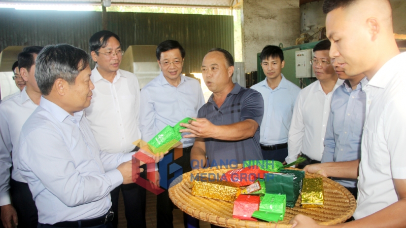 Đồng chí Vũ Đại Thắng, Ủy viên Trung ương Đảng, Bí thư Tỉnh ủy, thăm HTX Chè Đường Hoa Cương 11-2024). Ảnh: Mạnh Trường