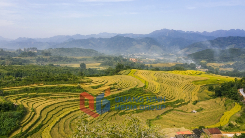 Những ruộng lúa uốn lượn, nhấp nhô như những triền sóng (12-2024). Ảnh: Đỗ Giang