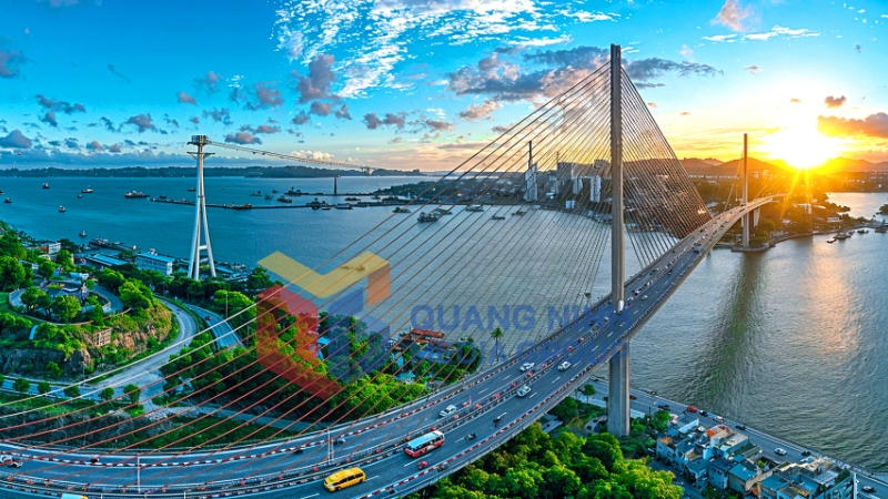 Cầu Bãi Cháy như một cung đàn trong sắc vàng (1-2025). Ảnh: Đỗ Giang