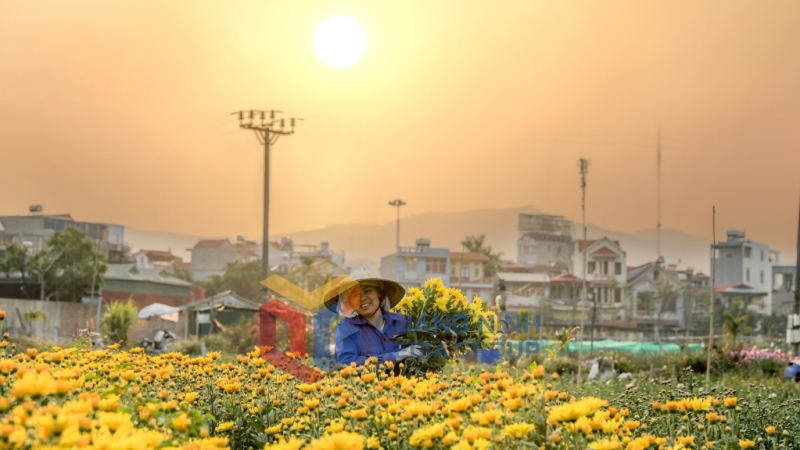 2025-01_Người nông dân Đồng Chè với niềm hạnh phúc một vụ mùa thắng lợi. Ảnh: Hùng Sơn