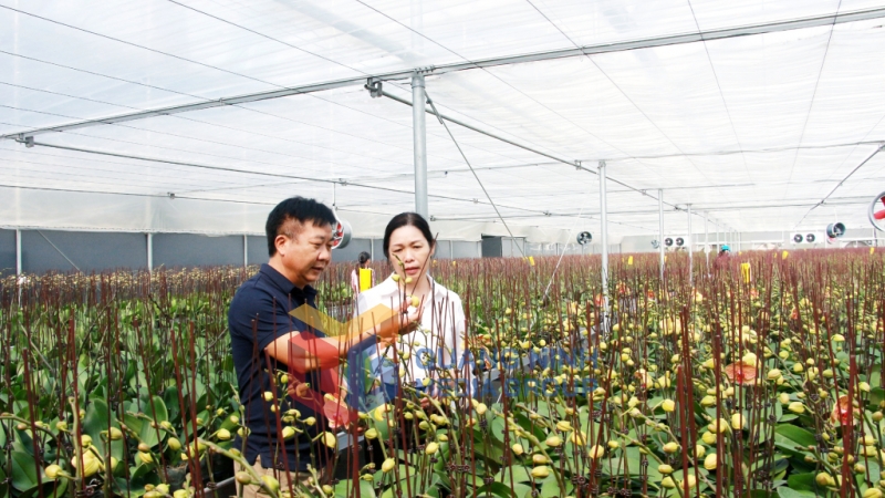 Mô hình trang trại tổng hợp của người dân thôn Đè E, xã Lê Lợi, Hoành Bồ (12-2019). Ảnh: Mạnh Trường
