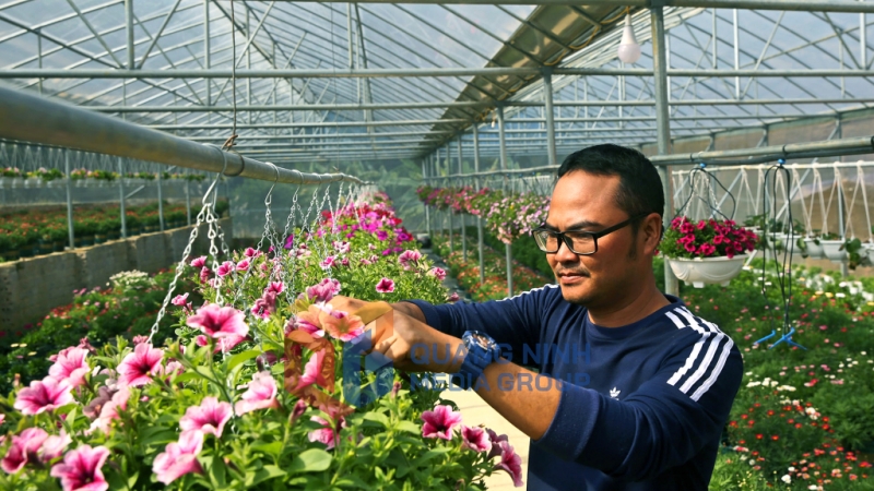 Nông dân phường Hoành Bồ (TP Hạ Long) làm giàu từ mô hình trồng hoa lan công nghệ cao (3-2023). Ảnh: Hùng Sơn