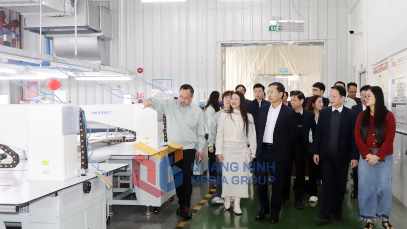 Đồng chí Chủ tịch UBND tỉnh tham quan nhà máy của Công ty TNHH Hoa Lợi Đạt (1-2025). Ảnh: Trúc Linh