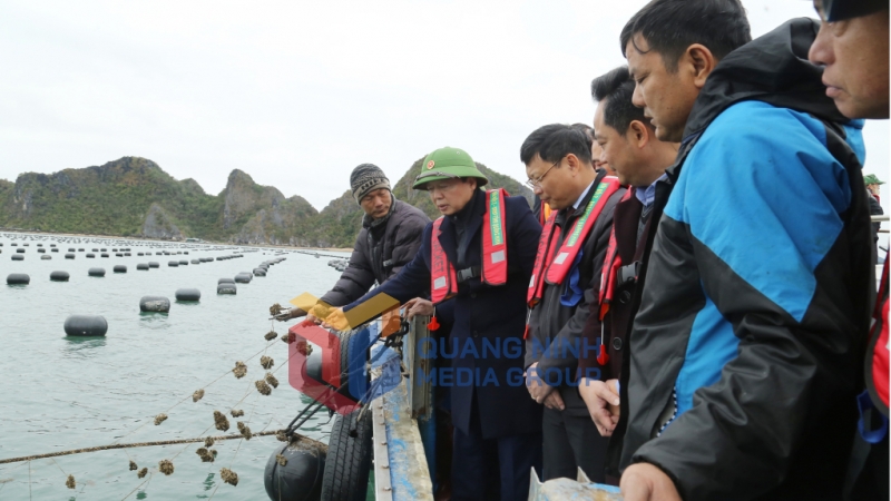 Đồng chí Trần Hồng Hà, Ủy viên Trung ương Đảng, Phó Thủ tướng Chính phủ, kiểm tra tình hình sản xuất nông nghiệp tại huyện Vân Đồn (02-2025). Ảnh: Thu Chung