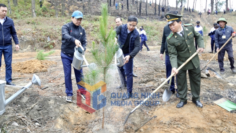 Đồng chí Trần Hồng Hà, Ủy viên Trung ương Đảng, Phó Thủ tướng Chính phủ cùng các đại biểu và nhân dân ra quân trồng 1.100 cây thông tại khu vực rừng thông ở hồ Yên Trung (02-2025). Ảnh: Thu Chung
