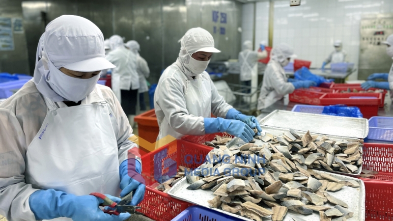 Công nhân chế biến thủy sản tại Công ty CP Xuất nhập khẩu Thủy sản Quảng Ninh (02-2025). Ảnh: Nguyễn Ngọc