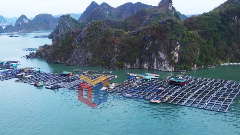 Nuôi trồng thủy sản (3-02025). Ảnh: Minh Đức
