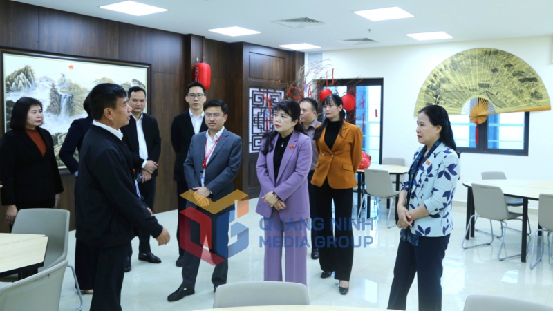 Đoàn ĐBQH tỉnh giám sát tại Trường Đại học Hạ Long (3-2025). Ảnh: Nguyễn Thanh