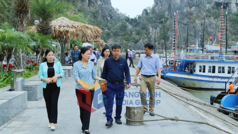 Đoàn giám sát kiểm tra công tác bảo vệ môi trường trên Vịnh Hạ Long (3-2025). Ảnh: Nguyễn Thanh