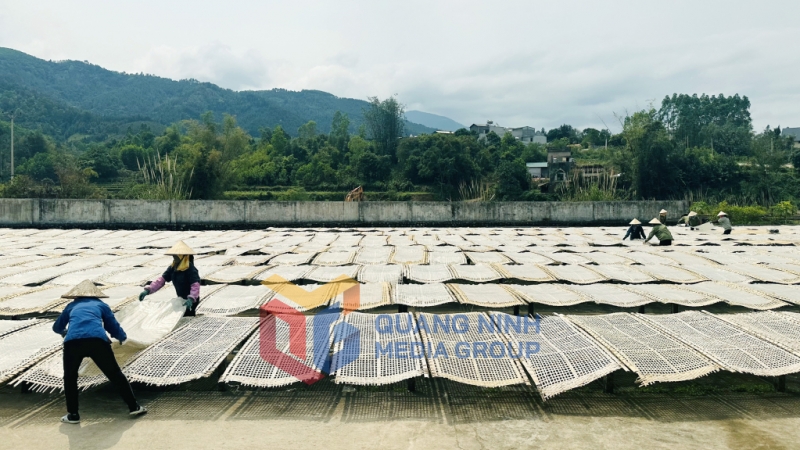 Người dân huyện Bình Liêu phơi miến (4-2025). Ảnh: Trung Thành