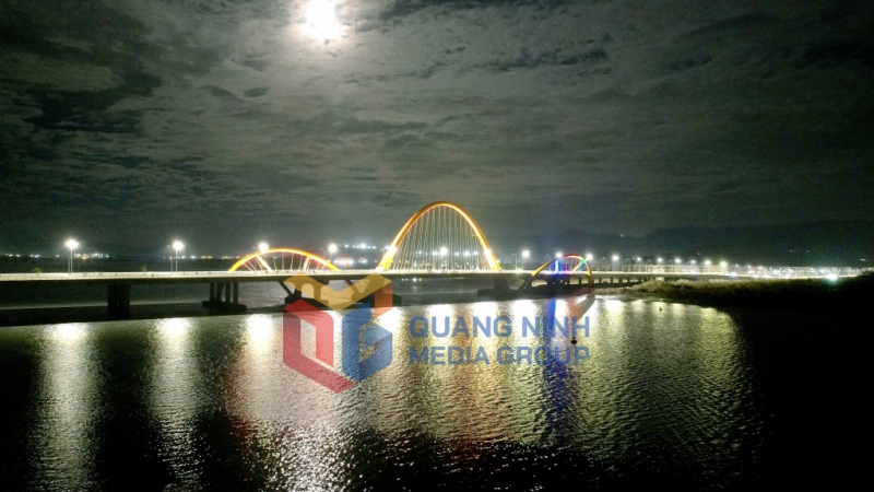 Cầu Bình Minh lung linh trong ánh đèn đêm. Ảnh: Thành Công