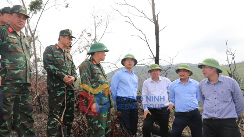 Đồng chí Chủ tịch UBND tỉnh kiểm tra diện tích rừng bị cháy tại TP Uông Bí (4-2025). Ảnh: Đỗ Phương