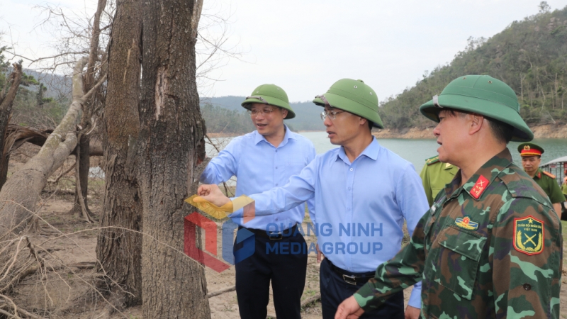 Đồng chí Phạm Đức Ấn, Phó Bí thư Tỉnh ủy, Chủ tịch UBND tỉnh kiểm tra rừng bị hư hại tại khu vực hồ Yên Lập, phường Đại Yên, TP Hạ Long (4-2025). Ảnh: Đỗ Phương