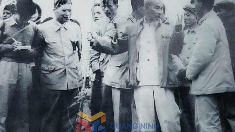 Bác Hồ thăm khu vực trồng cao su của trại trồng cây Đoan Tĩnh, TX Móng Cái (nay là TP Móng Cái). Ảnh: Tư liệu Thư viện Quảng Ninh