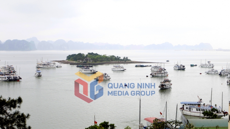 Khu vực Đảo Rều của TP Hạ Long năm 2008. Ảnh: Tư Liệu