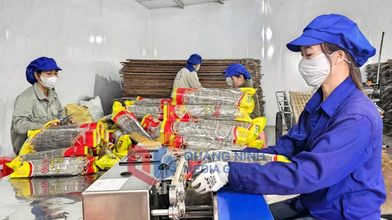 Đóng gói các sản phẩm miến dong tại Công ty CP và Thương mại Dịch vụ Bình Liêu (6-2025). Ảnh: Vân Anh