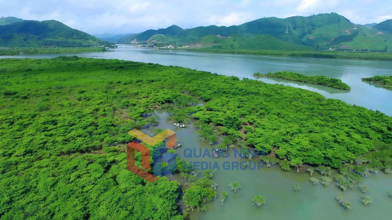 Bãi triều nơi cửa biển Đồng Rui, Tiên Yên (6-2025). Ảnh: Đỗ Giang