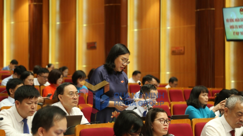 Đại biểu Bùi Thị Hải, Tổ đại biểu HĐND TP Hạ Long, phát biểu thảo luận tại hội trường (6-2025). Ảnh: Thu Chung