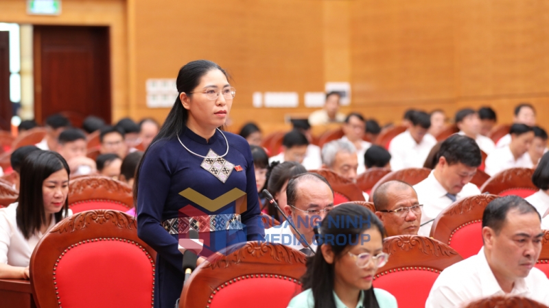 Đại biểu HĐND tỉnh phát biểu, tham gia ý kiến tại hội trường (7-2025). Ảnh: Đỗ Phương