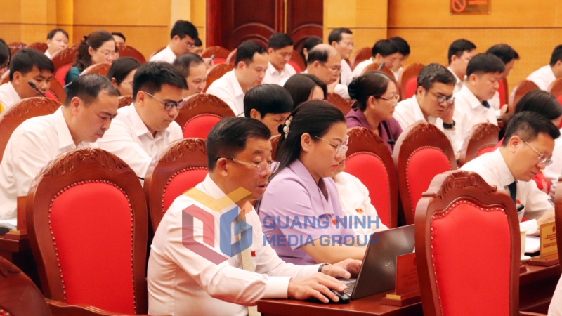 2025-06_Kỳ họp thứ 29, HĐND tỉnh khoá XIV - Các đại biểu nghiên cứu tài liệu tại kỳ họp. Ảnh: Đỗ Phương