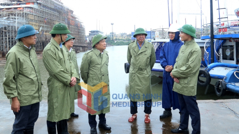Đồng chí Bí thư Tỉnh ủy kiểm tra công tác bảo đảm an toàn cho tàu thuyền tại khu neo đậu tránh trú bão tại khu Giếng Đáy 3A, phường Việt Hưng  (7-2025). Ảnh: Thu Chung