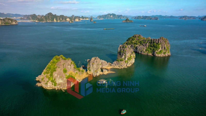 Rồng con chầu rồng mẹ (8-2025). Ảnh: Dương Phượng Đại (CTV)