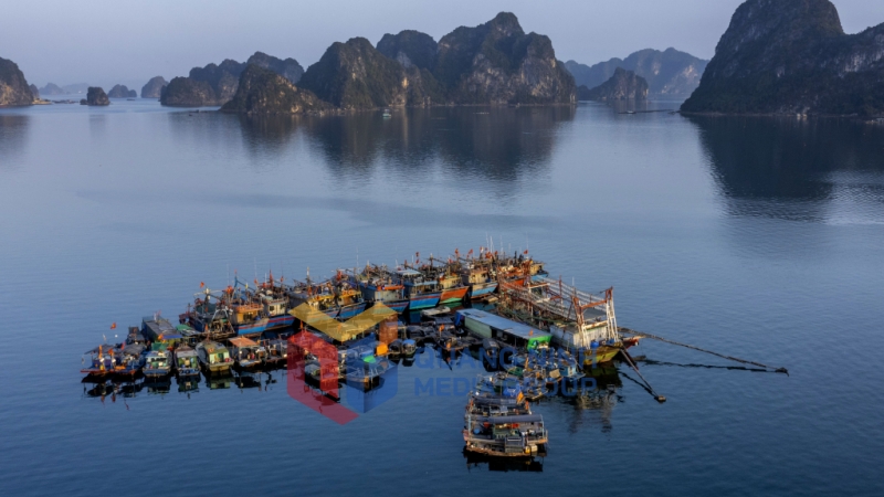 Xóm chài trên vịnh (8-2025). Ảnh: Dương Phượng Đại (CTV)