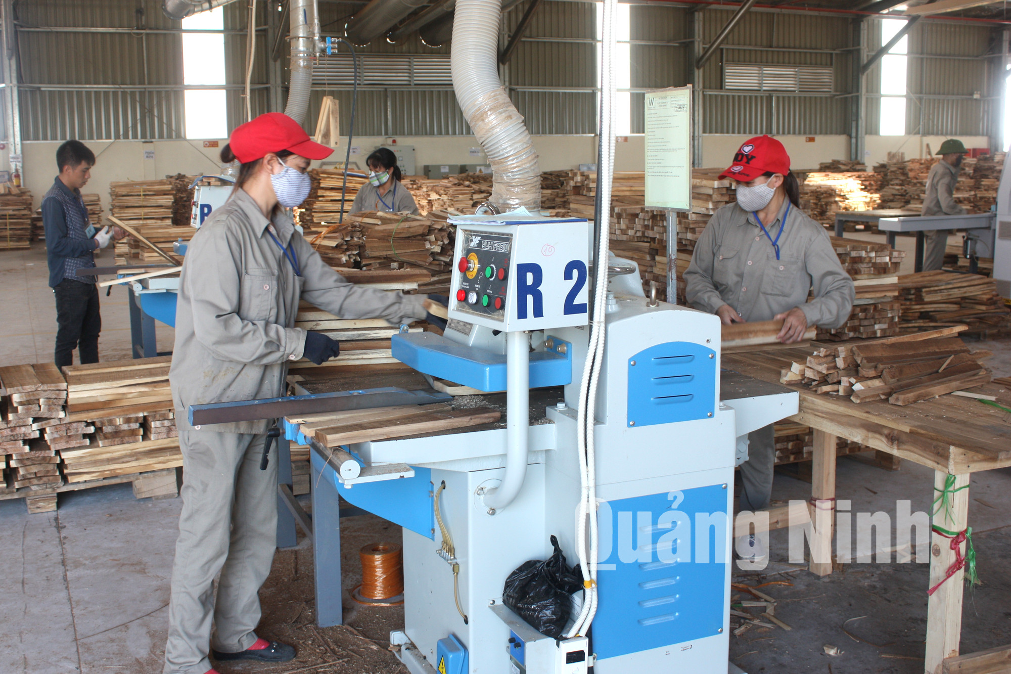 Chế biến gỗ tại Nhà máy chế biến gỗ Thanh Lâm xã Tân Bình. Ảnh Hữu Việt