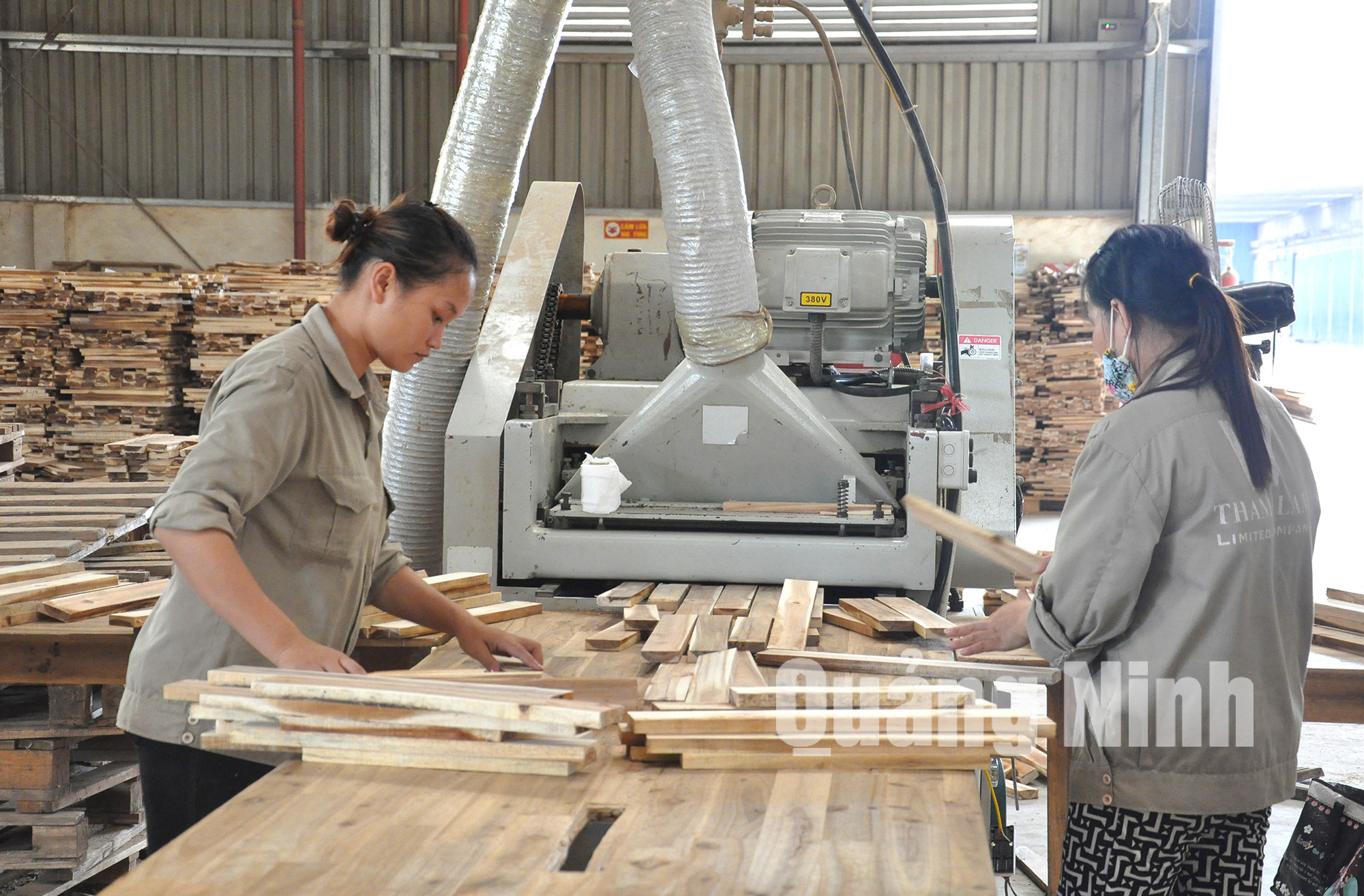 Chế biến gỗ thanh xuất khẩu tại Nhà máy Chế biến gỗ sâu xã Tân Bình. Ảnh Thái Cảnh