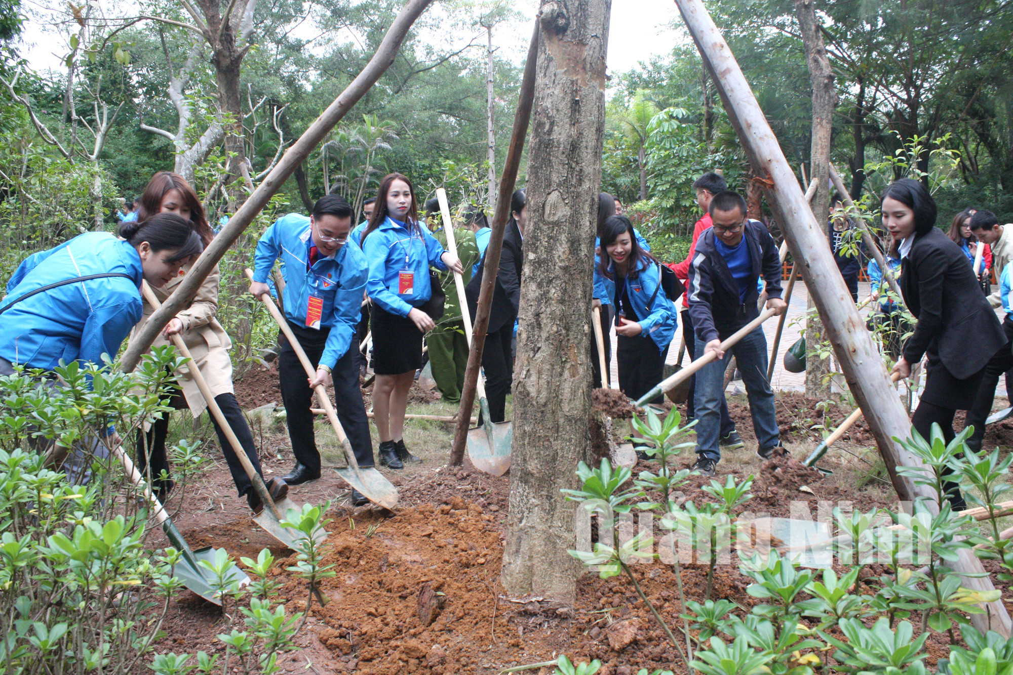 Đại biểu thanh niên tỉnh Quảng Ninh và tỉnh Quảng Tây tham gia trồng cây tại Công viên Hữu nghị nhân dân Trung - Việt (TP Đông Hưng).