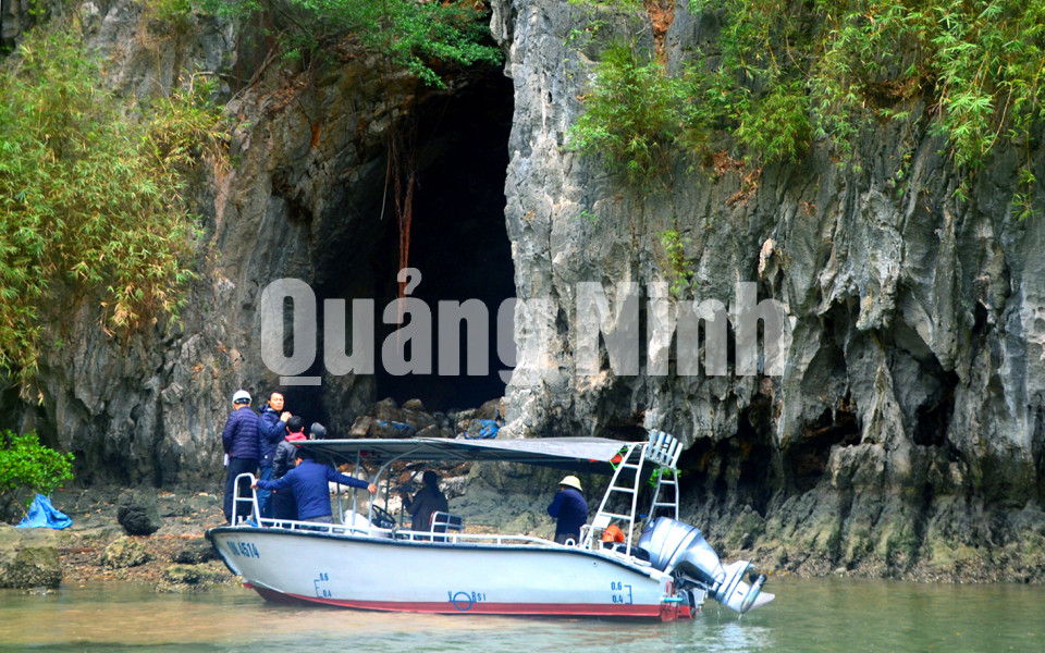 Hang Cặp Lờm