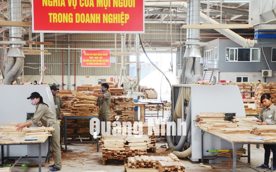 Nhà máy Chế biến gỗ Tân Bình (huyện Đầm Hà)