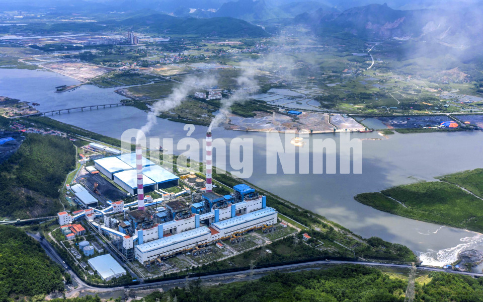 Công ty CP Nhiệt điện Quảng Ninh