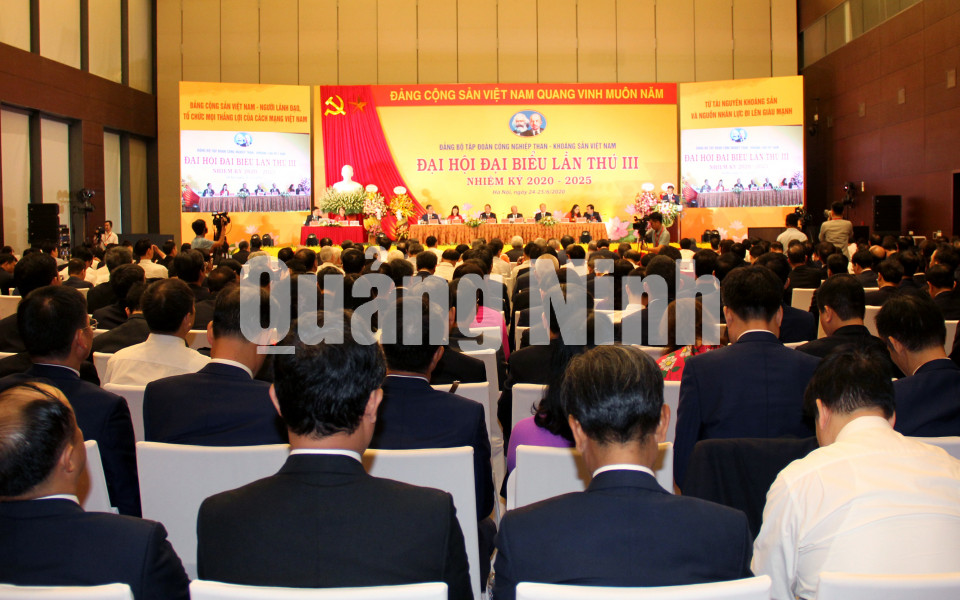 Đại hội Đại biểu Đảng bộ Tập đoàn Công nghiệp Than – Khoáng sản Việt Nam lần thứ III, tháng 6-2020