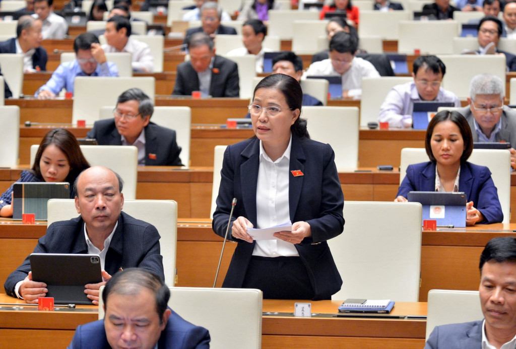 Đồng chí Đỗ Thị Lan, Ủy viên Thường trực Ủy ban Về các vấn đề xã hội của Quốc hội, ĐBQH tỉnh Quảng Ninh, phát biểu tại Kỳ họp thứ 10, Quốc hội khoá XIV.