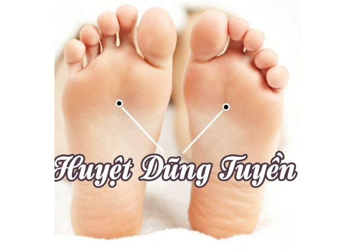 huyet-dung-tuyen