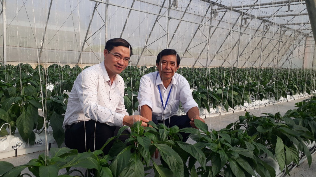 Ông Trần Văn Báu (tay phải) bên vườn ươm giống cây lâm nghiệp của mình