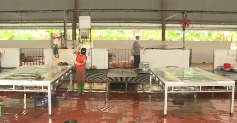 Cơ sở giết mổ Đức Hà, TP Uông Bí đầu tư sàn N