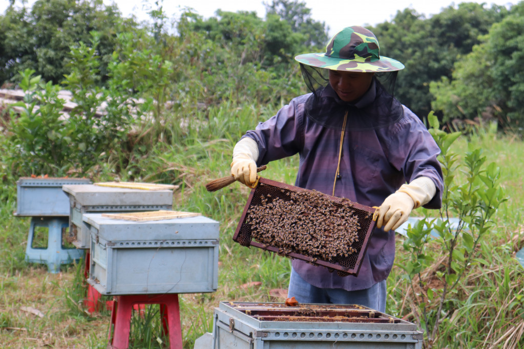 Sản phẩm OCOP 3 sao mật ong rừng Bình Liêu.