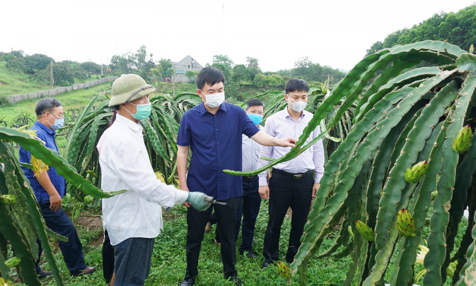 Phó Bí thư Thường trực Tỉnh ủy Ngô Hoàng Ngân kiểm tra tại huyện Đầm Hà