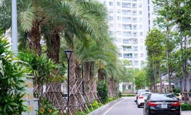 Vì một Hạ Long xanh hơn