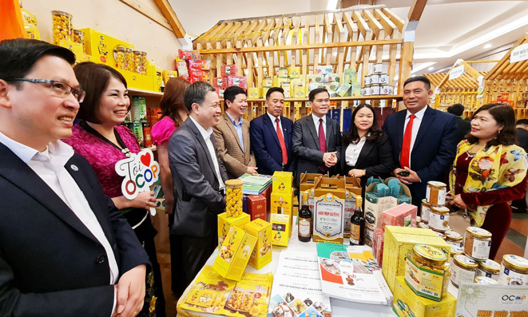 "Chắp cánh" cho sản phẩm OCOP vươn xa