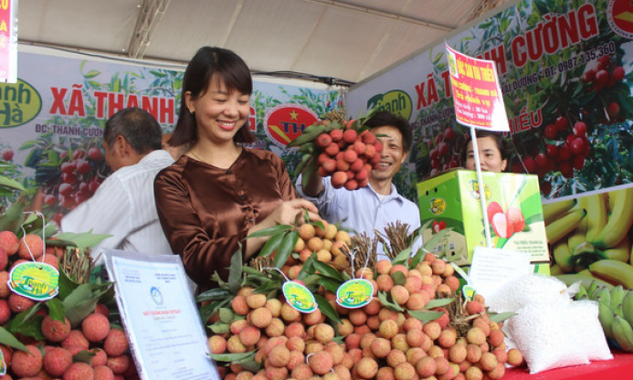 Khơi thông xuất khẩu, nâng tầm thương hiệu vải thiều