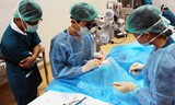 Bị gián đoạn thời gian thực hành có được cấp chứng chỉ hành nghề y?