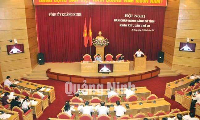 Hội nghị Ban Chấp hành Đảng bộ tỉnh lần thứ 30 (khoá XIII), tháng 8-2014