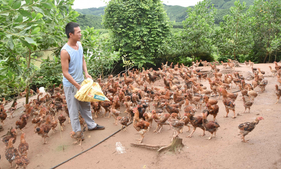 Nhân lên ý chí tự lực, chủ động thoát nghèo ở vùng cao Ba Chẽ