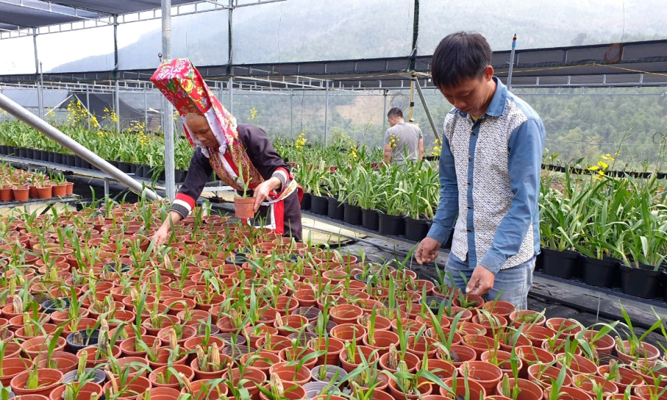Nâng cao đời sống nhân dân theo di nguyện của Bác