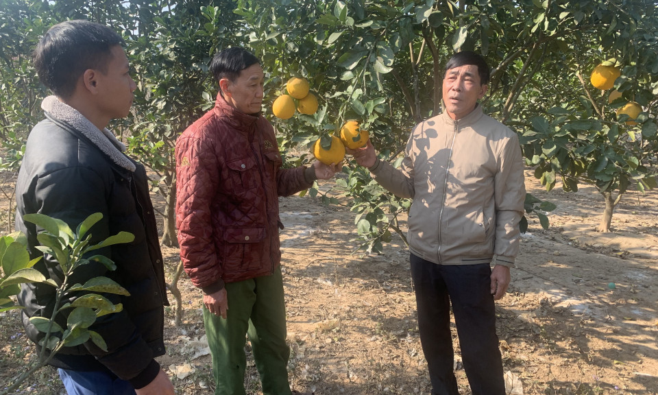 Yên Than xây dựng NTM kiểu mẫu