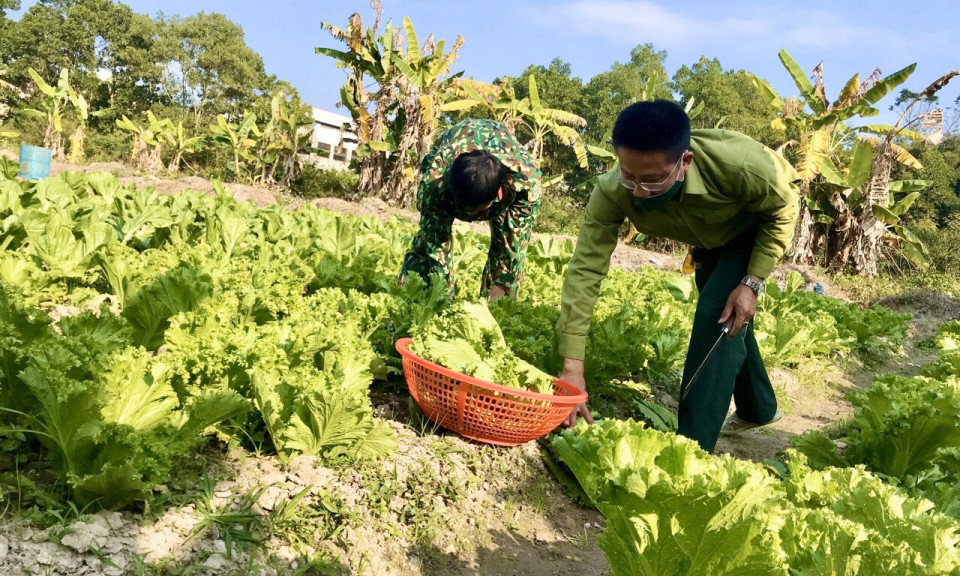 Góp phần xây dựng Quân đội vững mạnh toàn diện